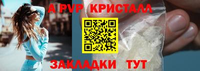 spice Кингисепп