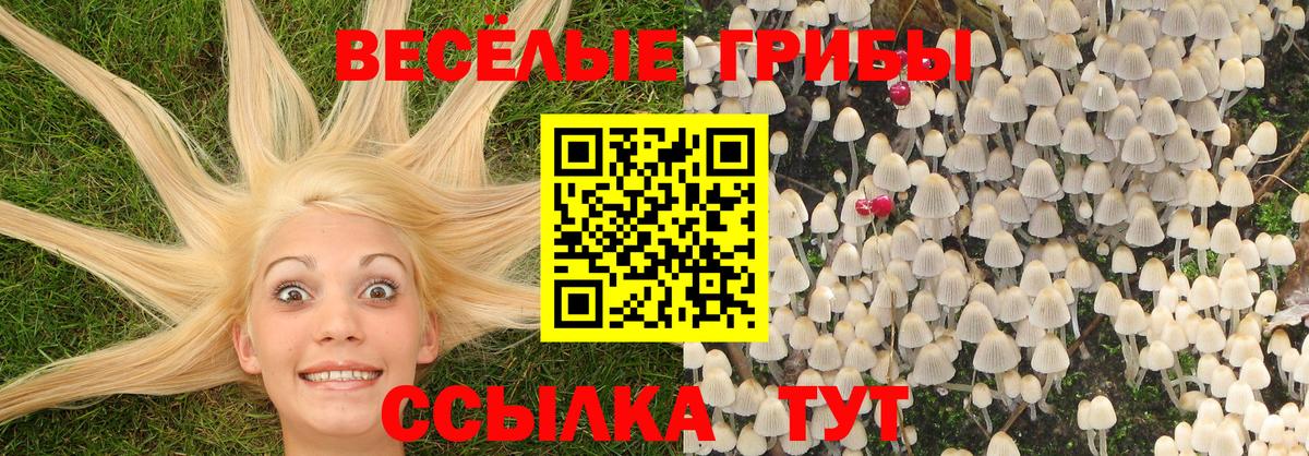 Дедовск  Галлюциногенные грибы Magic Shrooms  Вход с VPN 
