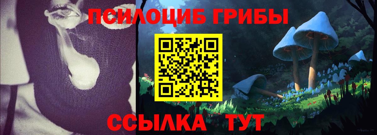 Псилоцибиновые грибы GOLDEN TEACHER Дедовск